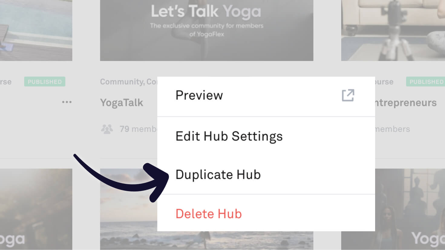 Duplicate Hub