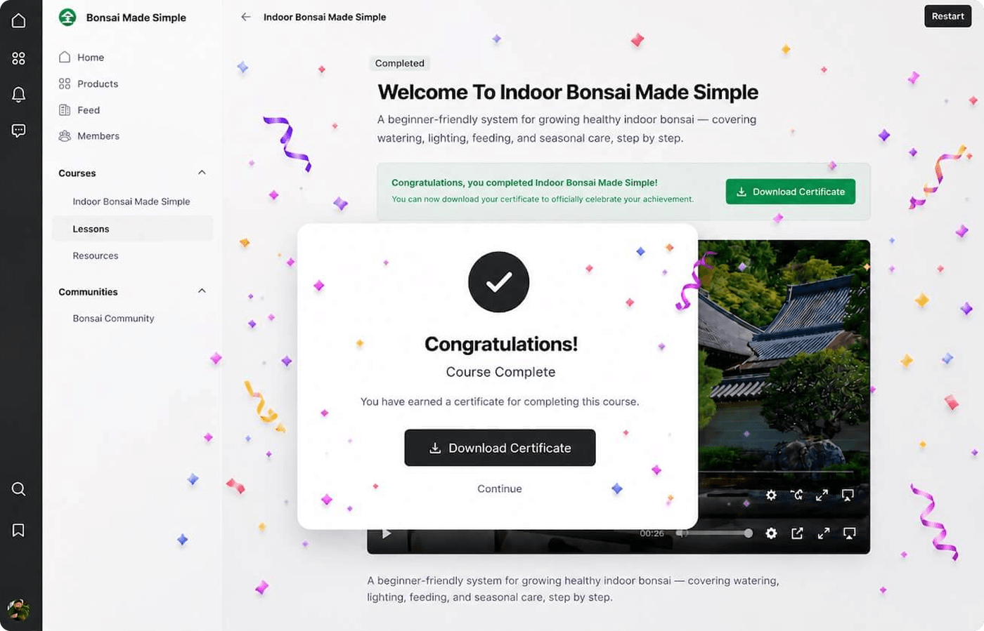 Celebration Effects For Communities 1